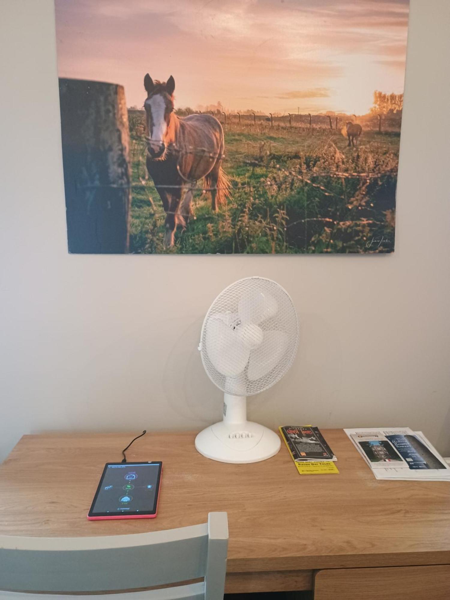 Matty'S Pub - Apartment'S Carlow Luaran gambar